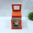 Neem Karoli Baba Idol | Divine Guru Ji Murti for Home, Office & Meditation